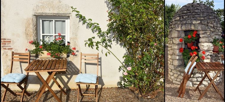 Hotel Les Salamandres Maison D'hôtes Blois : Photo 