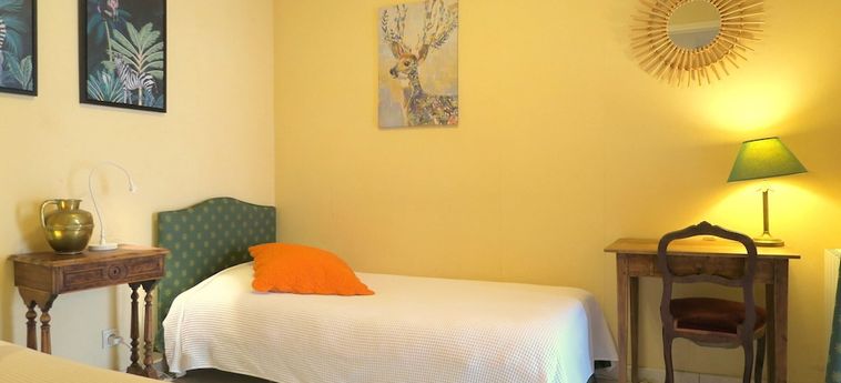 Hotel Les Salamandres Maison D'hôtes Blois: Foto 