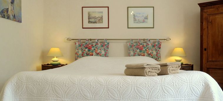 Hotel Les Salamandres Maison D'hôtes Blois: Foto 