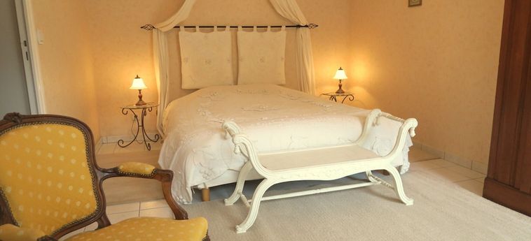 Hotel Les Salamandres Maison D'hôtes Blois: Foto 