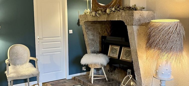 Hotel Nuits De Loire - Entre Blois Et Chambord Blois: Foto 