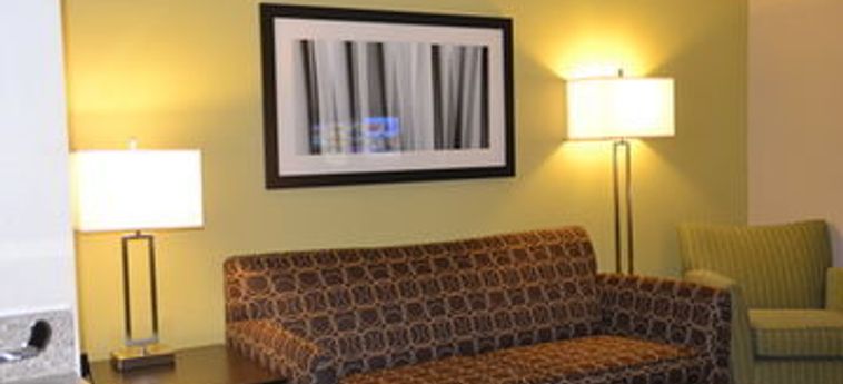 Hotel Holiday Inn Express & Suites Bloomington City Center-Normal:  BLOOMINGTON (IL)