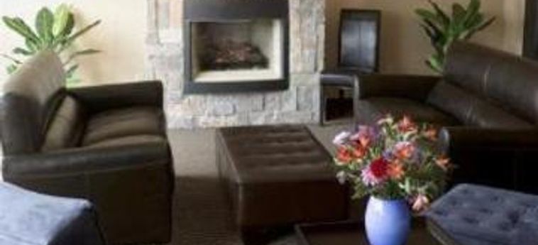 Hotel Holiday Inn Express & Suites Bloomington - Mpls Arpt Area W:  BLOOMINGTON (MN)