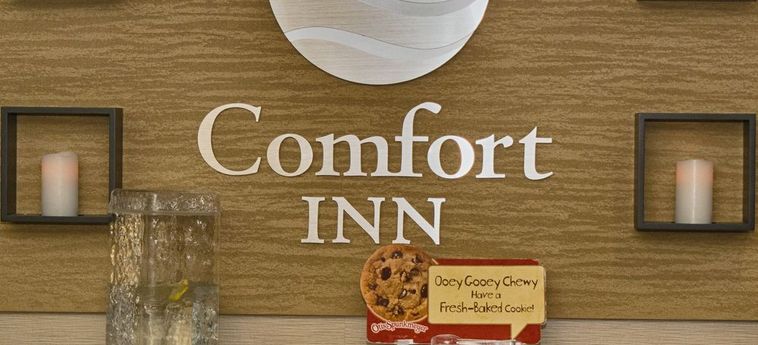 Hotel Comfort Inn Blythewood:  BLYTHEWOOD (SC)