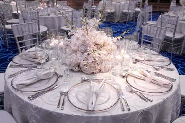 Hotel Beach Club At The Boca Raton Boca Raton (Fl): Photo 