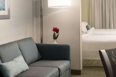 Hotel Springhill Suites By Marriott Boca Raton Boca Raton (Fl): Photo 