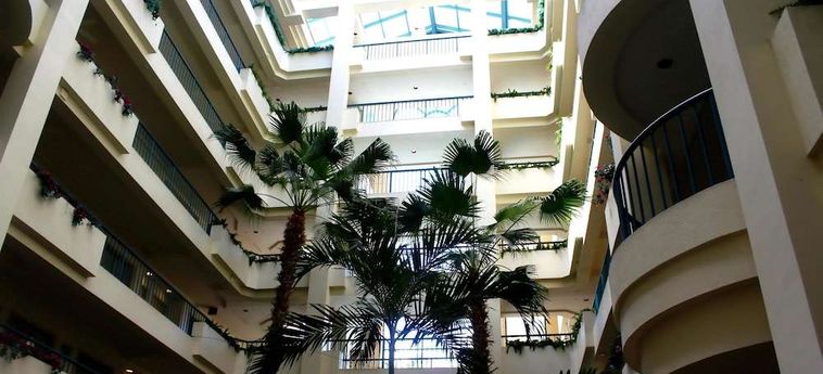 Hotel Hilton Suites Boca Raton Boca Raton (Fl): Foto 