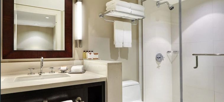 Hotel Bungalows At The Boca Raton Boca Raton (Fl): Photo 
