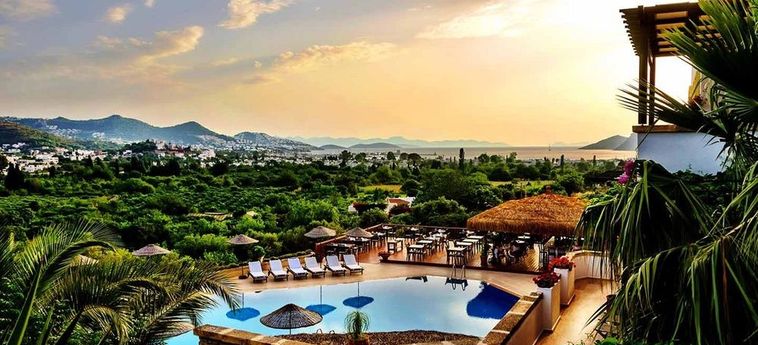 4Reasons Hotel And Bistro Bodrum : Photo 