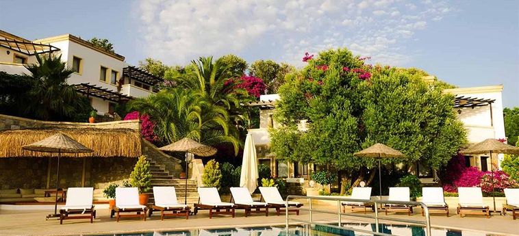 4Reasons Hotel And Bistro Bodrum: Foto 