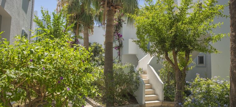 Hotel Yaz Yalikavak Bodrum : Photo 