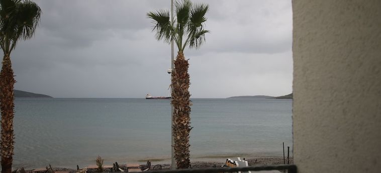 Artemis Hotel Bodrum: Foto 