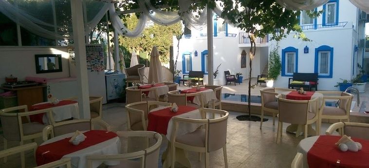 Zuzu's Kitchen &Amp; Apartments Bodrum : Photo 