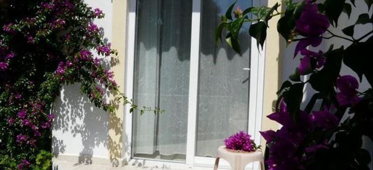 Viras Hotel Bodrum: Foto 