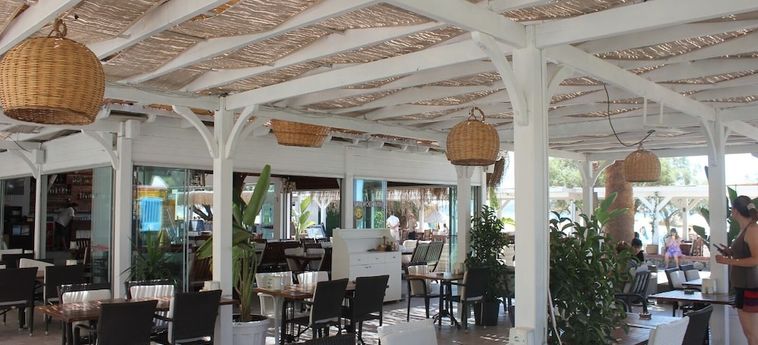 Viras Hotel Bodrum : Photo 