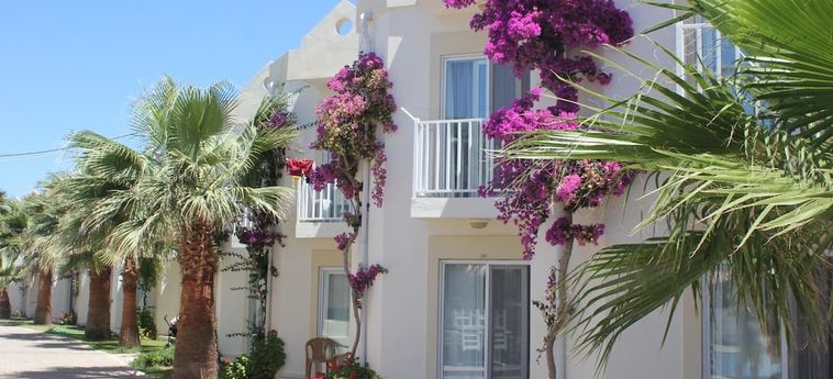 Viras Hotel Bodrum: Foto 