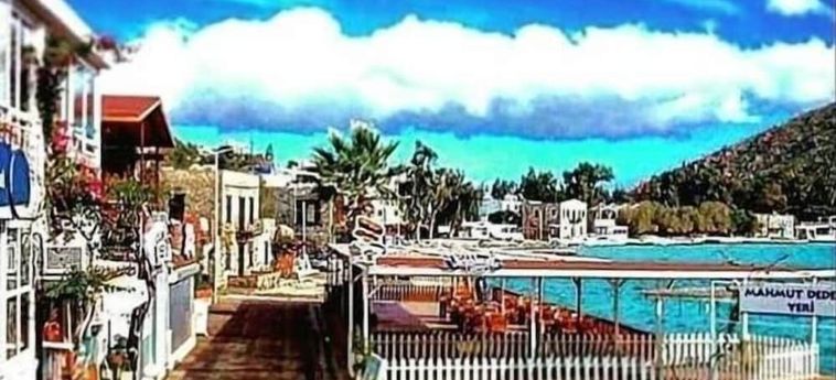 Hotel Aksoy Tas Ev Bodrum: Foto 