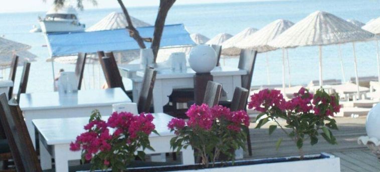 Yahsi Beach Hotel Bodrum: Foto 