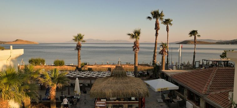 Zuzuu Beach Hotel Bodrum: Foto 