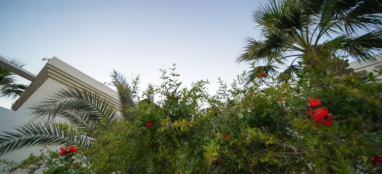 Zuzuu Beach Hotel Bodrum: Foto 