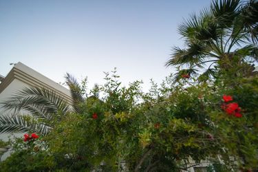 Zuzuu Beach Hotel Bodrum: Photo 