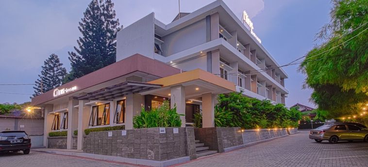 Citrus House Bogor: Foto 