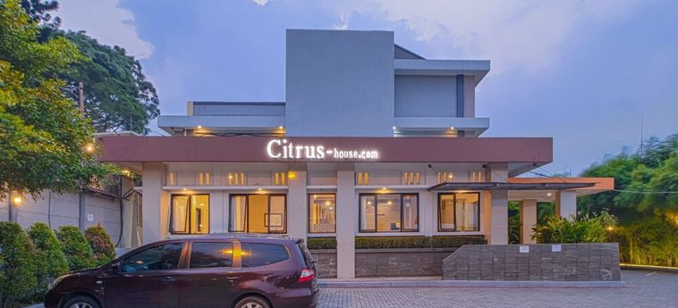 Citrus House Bogor: Foto 