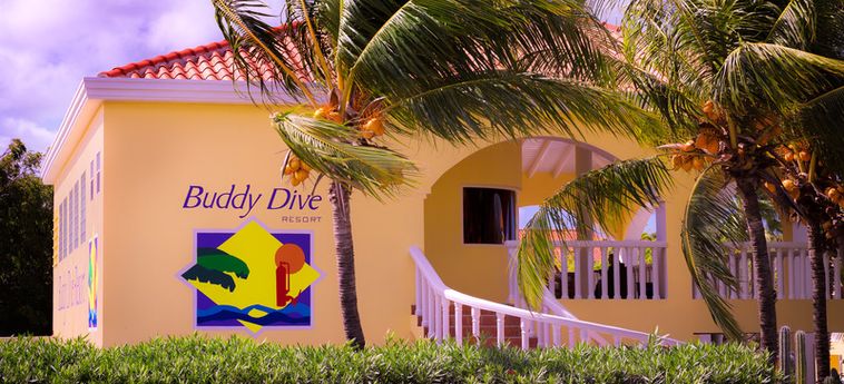 Hotel Buddy Dive Resort:  BONAIRE