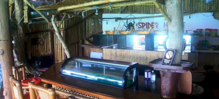 Spider House Resort:  BORACAY ISLAND