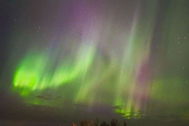 Icelandair Hotel Hamar Borgarnes: Photo 