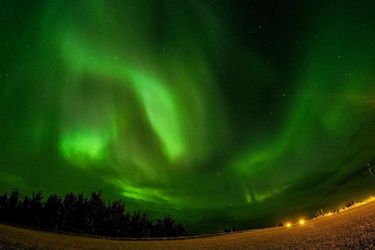 Icelandair Hotel Hamar Borgarnes: Photo 