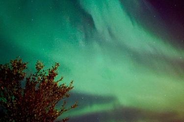 Icelandair Hotel Hamar Borgarnes: Photo 