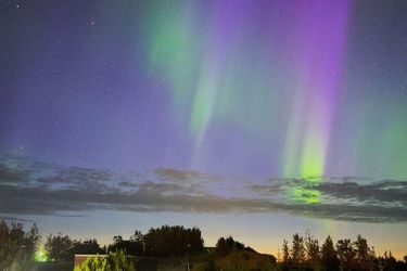 Icelandair Hotel Hamar Borgarnes: Photo 