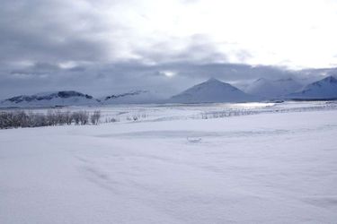 Icelandair Hotel Hamar Borgarnes: Photo 