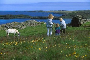 Icelandair Hotel Hamar Borgarnes: Photo 