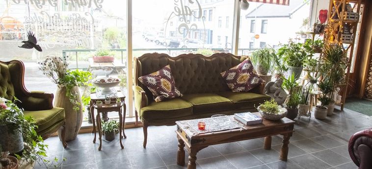 Hotel Blomasetrid Homestay Borgarnes: Foto 