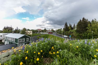Hotel Blomasetrid Homestay Borgarnes: Photo 