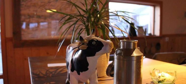 Hotel A Borgarnes: Foto 