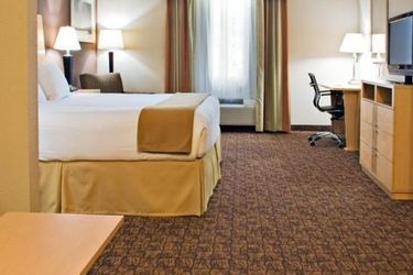 Hotel Holiday Inn Express Suites:  BORGER (TX)