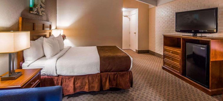 Hotel Best Western Adams Inn Quincy-Boston:  BOSTON (MA)