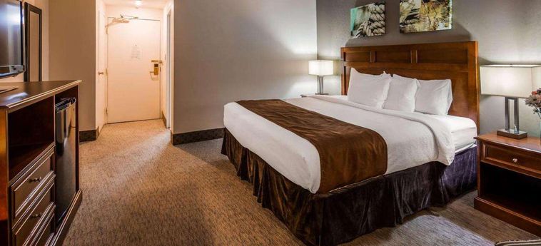 Hotel Best Western Adams Inn Quincy-Boston:  BOSTON (MA)