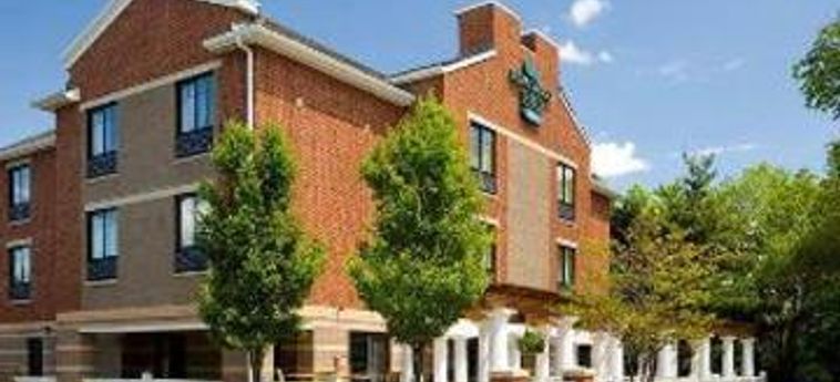 Hotel Homewood Suites By Hilton Cambridge-Arlington:  BOSTON (MA)