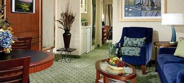 Doubletree Suites By Hilton Hotel Boston - Cambridge:  BOSTON (MA)