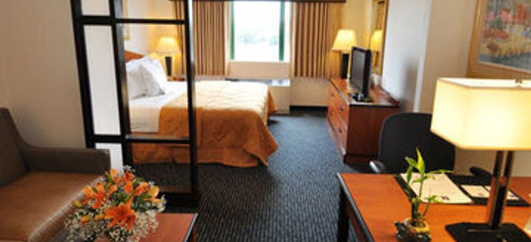 Hotel Comfort Inn & Suites Boston-Logan International Airport:  BOSTON (MA)
