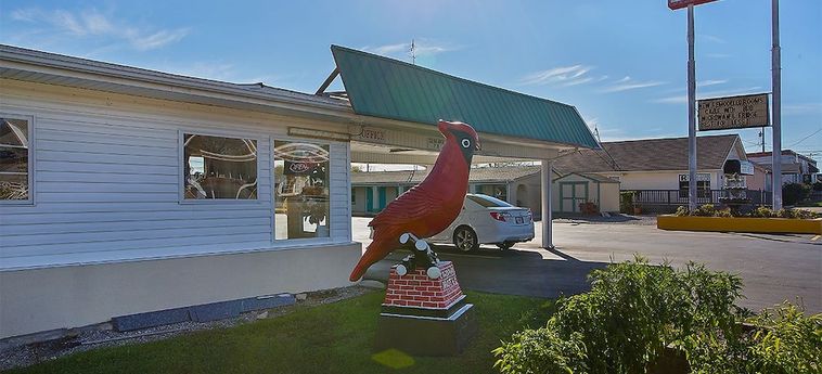 Hotel Cardinal Motel Bowling Green (Ky) : Photo 