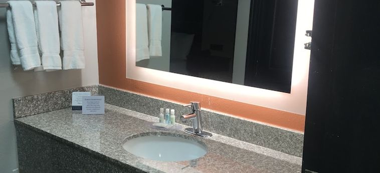 Vettecity Hotel Bowling Green (Ky): Foto 