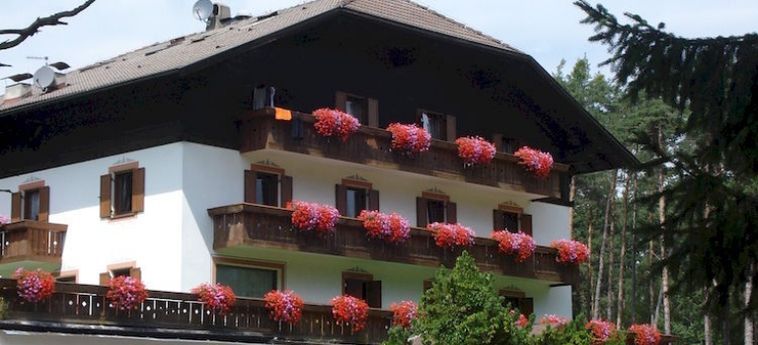 Hotel Waldsee:  BOZEN