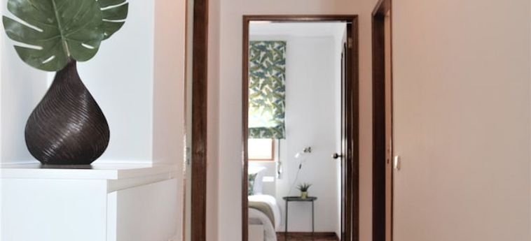 Hotel Accommodation Flat Damião De Gois Braga: Foto 