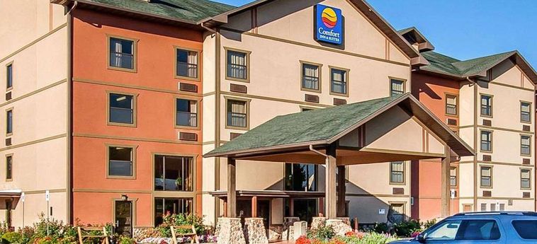 Hotel Comfort Inn & Suites:  BRANSON (MO)