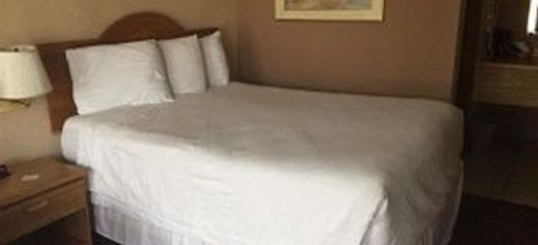 Hotel Willow Tree Inn Branson (Mo): Foto 